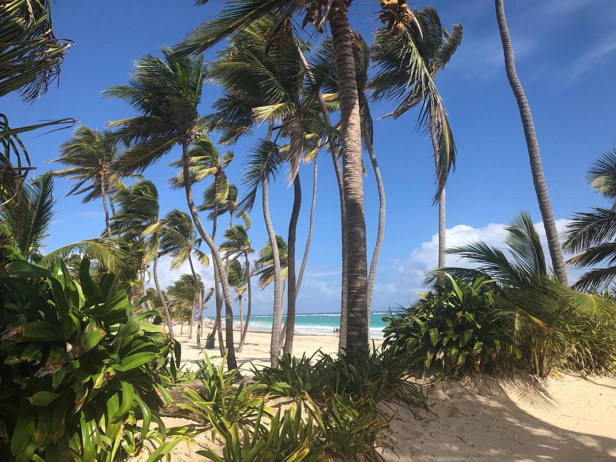 Terraza Art Villa Dominicana Punta Cana Dış mekan fotoğraf